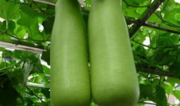 海宁吃瓜爆料公司地址,地址曝光，带你一探究竟